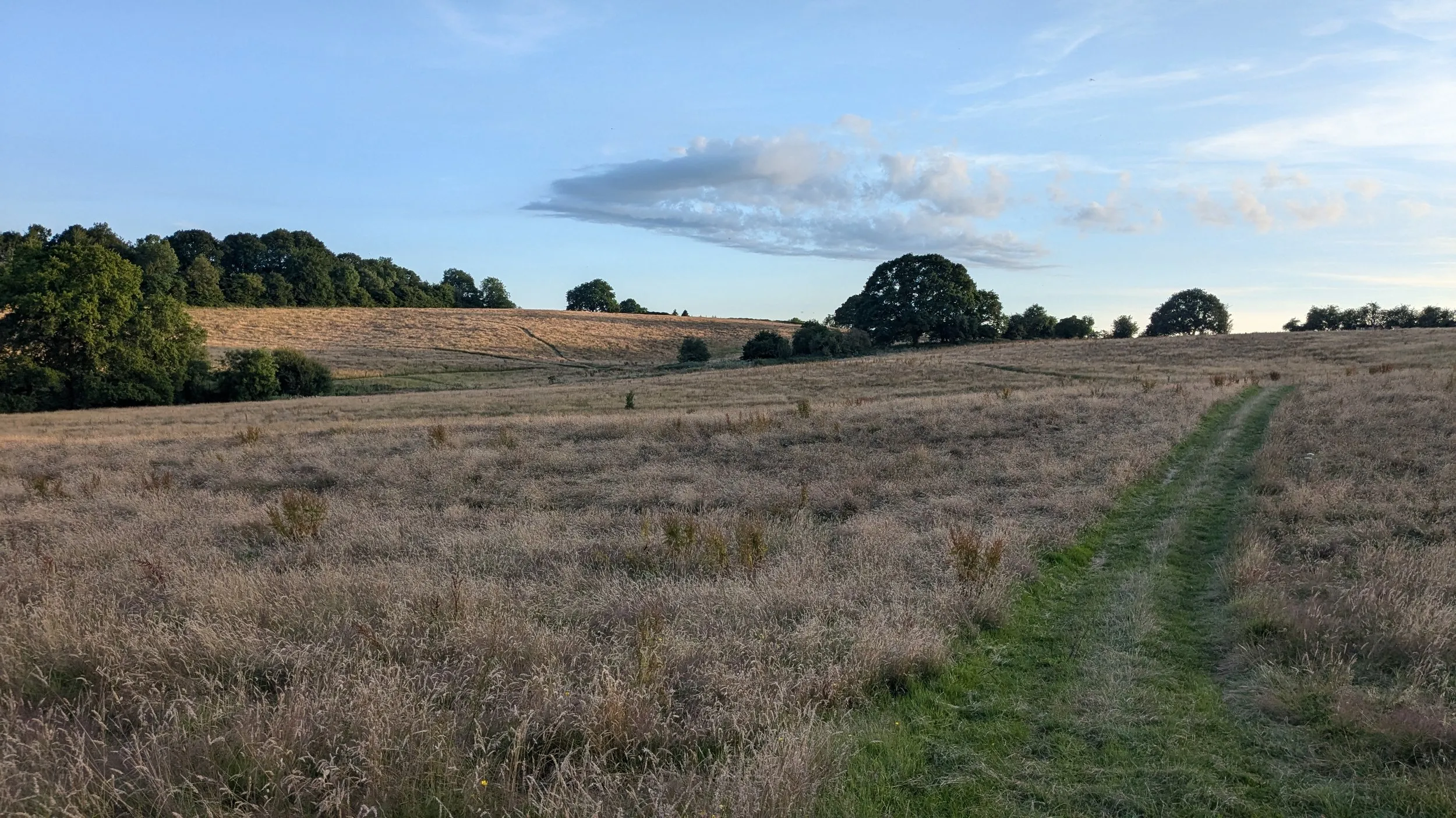 Sunset over the Grange Project landscape