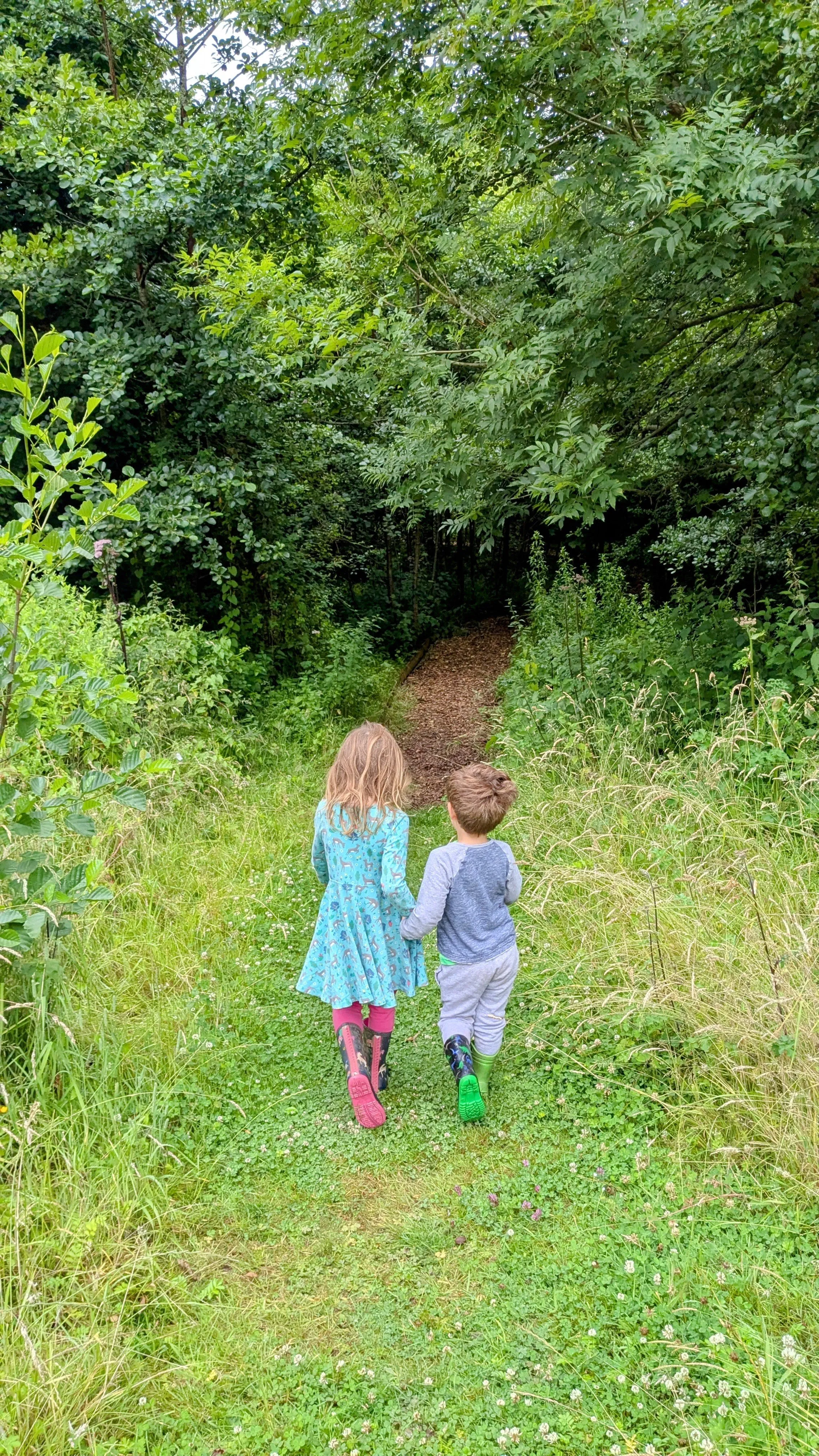 Children learning about nature and wildlife at outdoor education session
